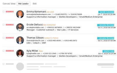 Customized CRM Solutions for Lead Conversion | Delveio Consulting